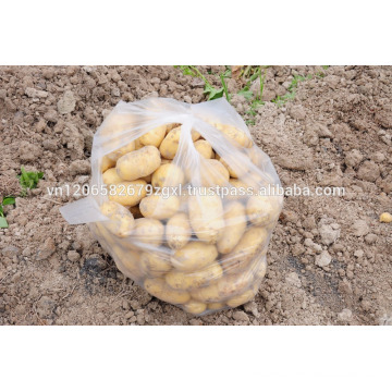 vietnam fresh potato high quality 2016 new crop